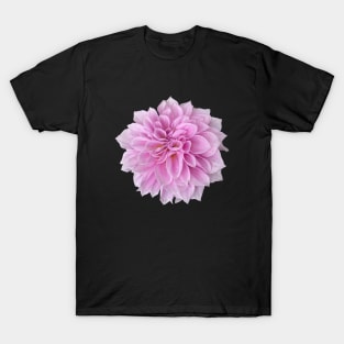 PINK SILK CHRYSANTHEMUM FLOWERS T-Shirt